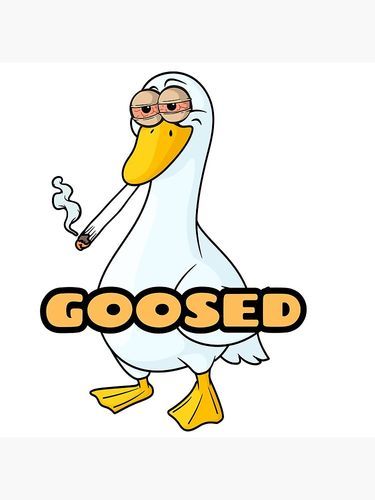 goose1