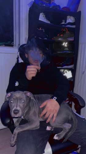 ksubi