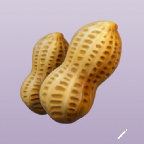 quasidaisy
