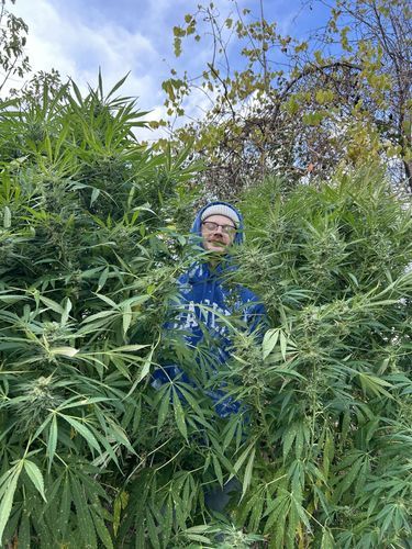 stonedpark
