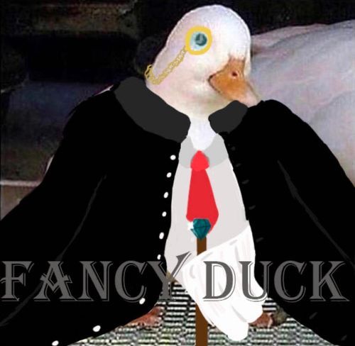 fancy_duck