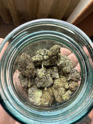 zachyboy420