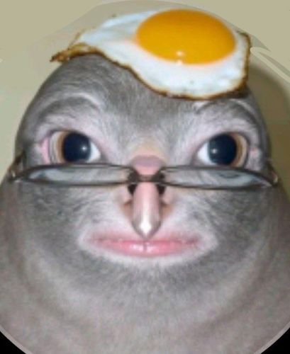 cheifowwa