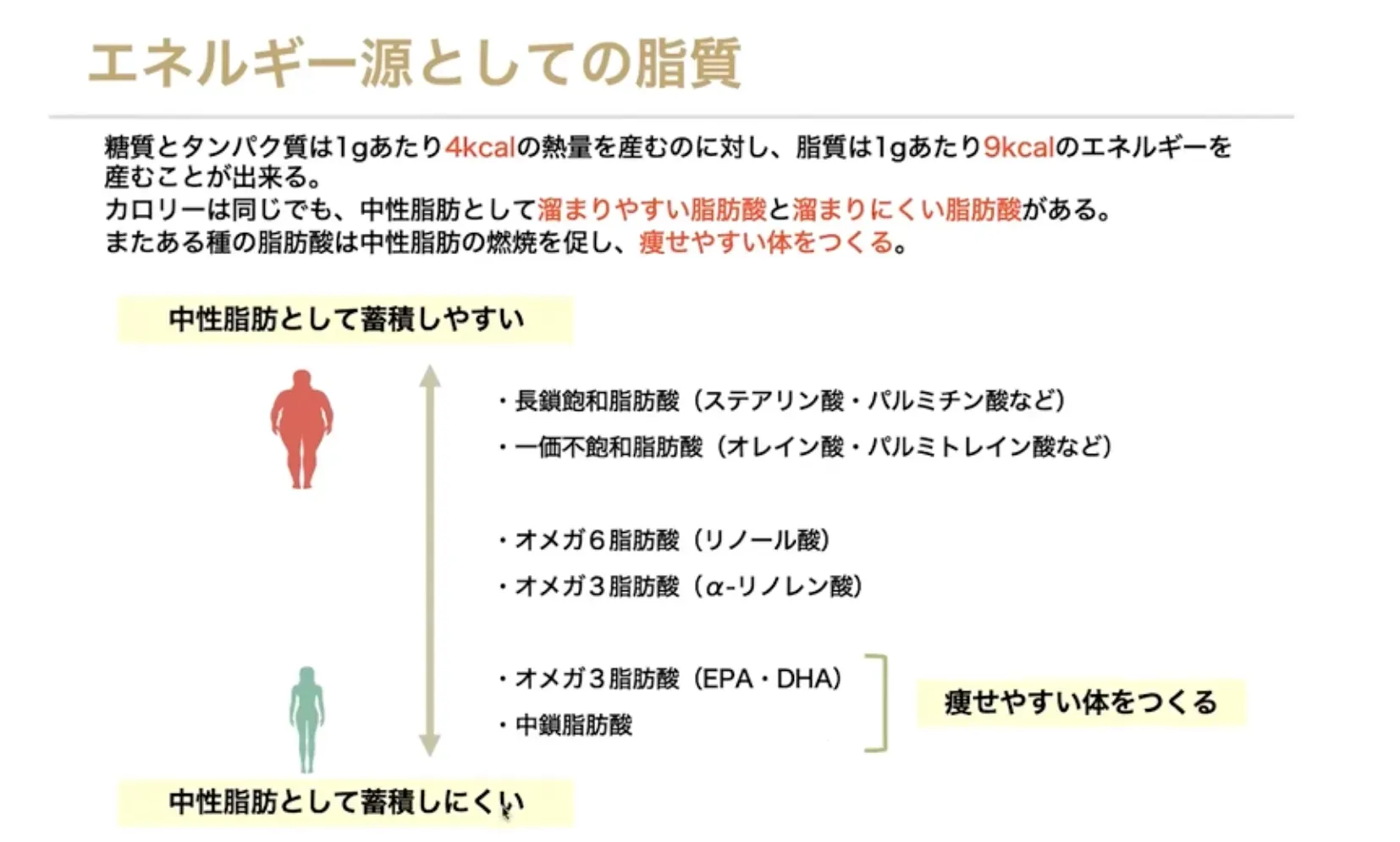 良質な脂質って何?適切な摂取方法は?現役Jリーガー、専門家と考える『エネルギー源になる正しい脂質』