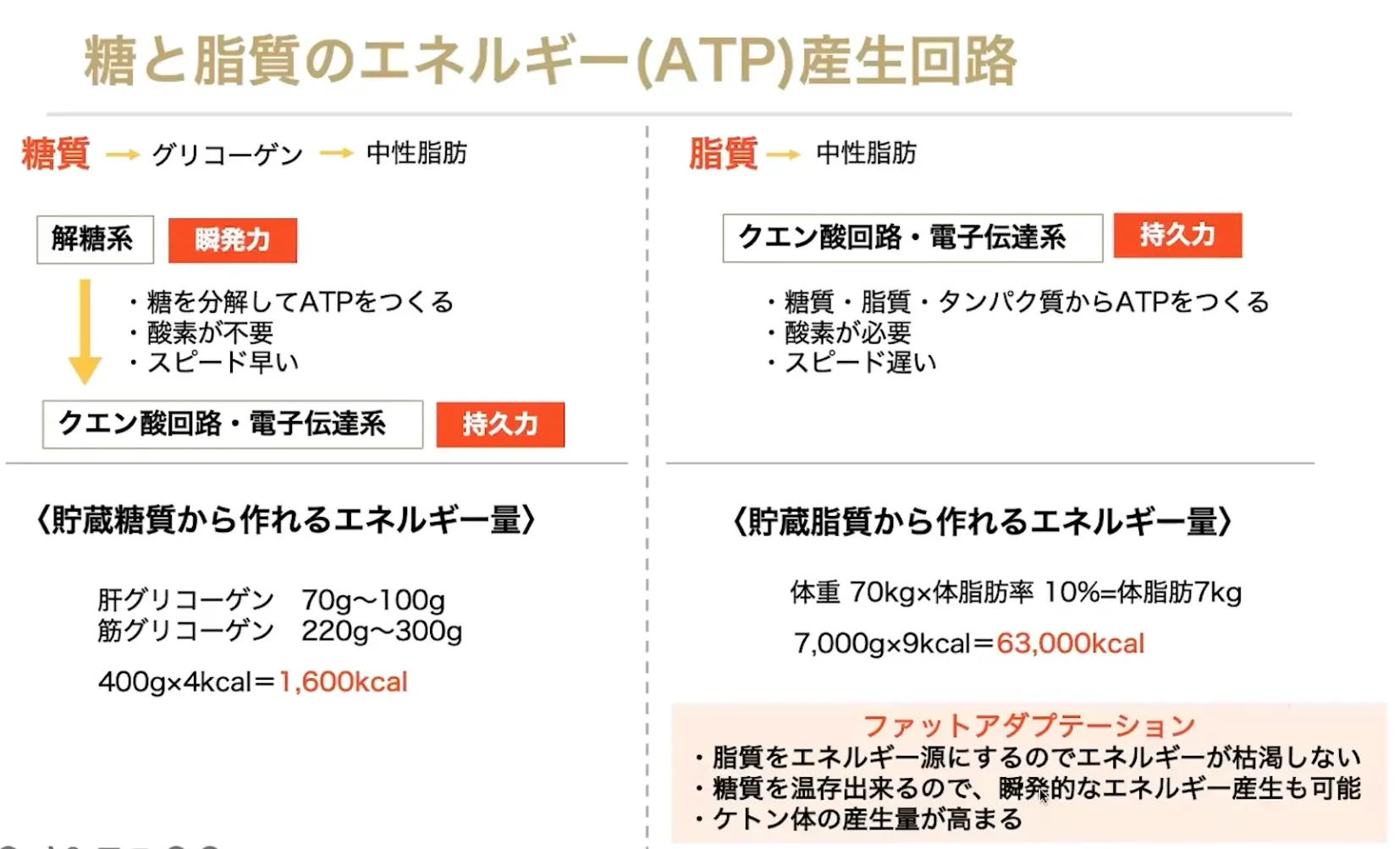 良質な脂質って何?適切な摂取方法は?現役Jリーガー、専門家と考える『エネルギー源になる正しい脂質』