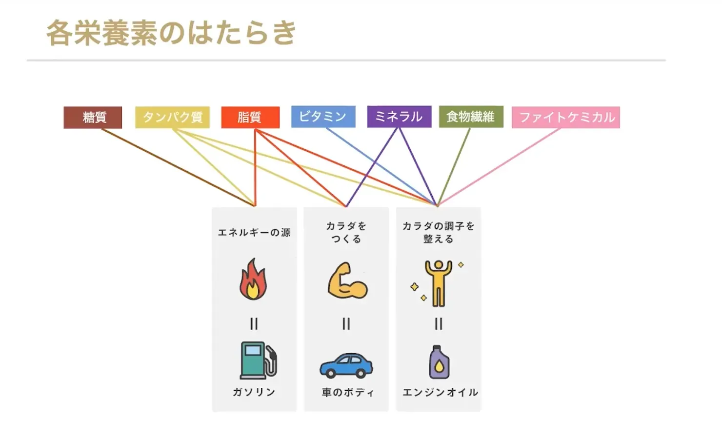 良質な脂質って何?適切な摂取方法は?現役Jリーガー、専門家と考える『エネルギー源になる正しい脂質』