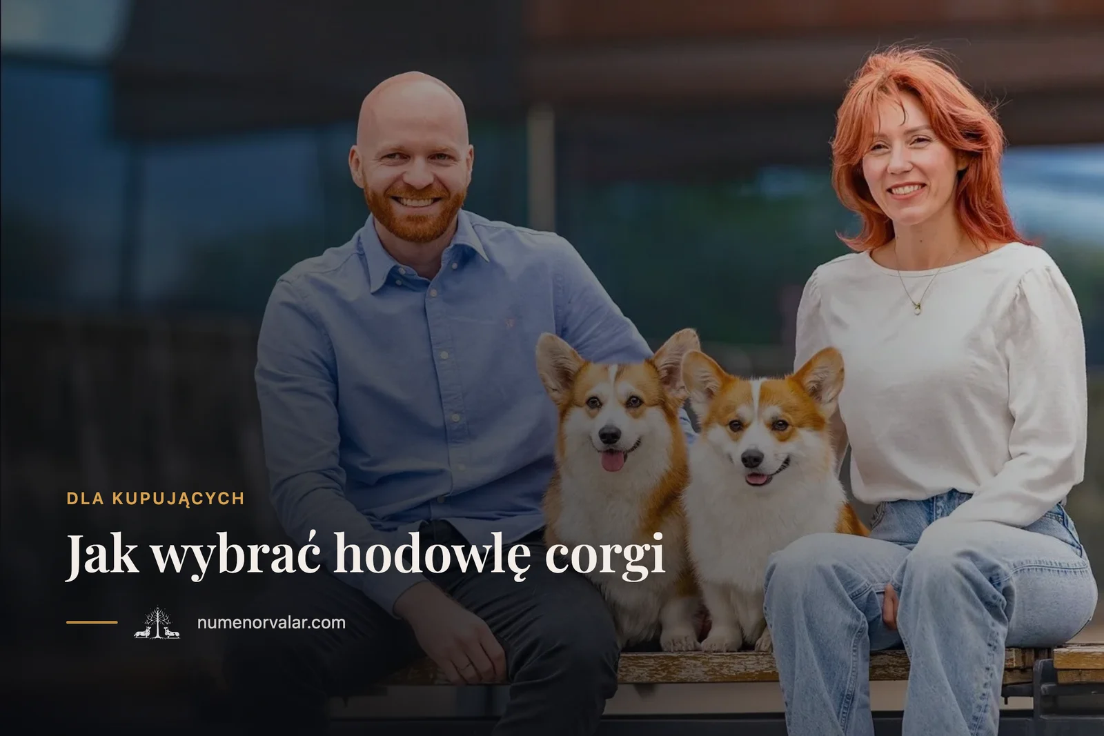 Jak wybrać hodowlę corgi: rodowód, badania, umowa i pytania do hodowcy