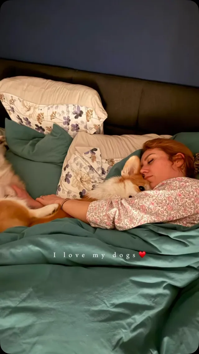 Love my dog #corgi #lovemydogs #dog