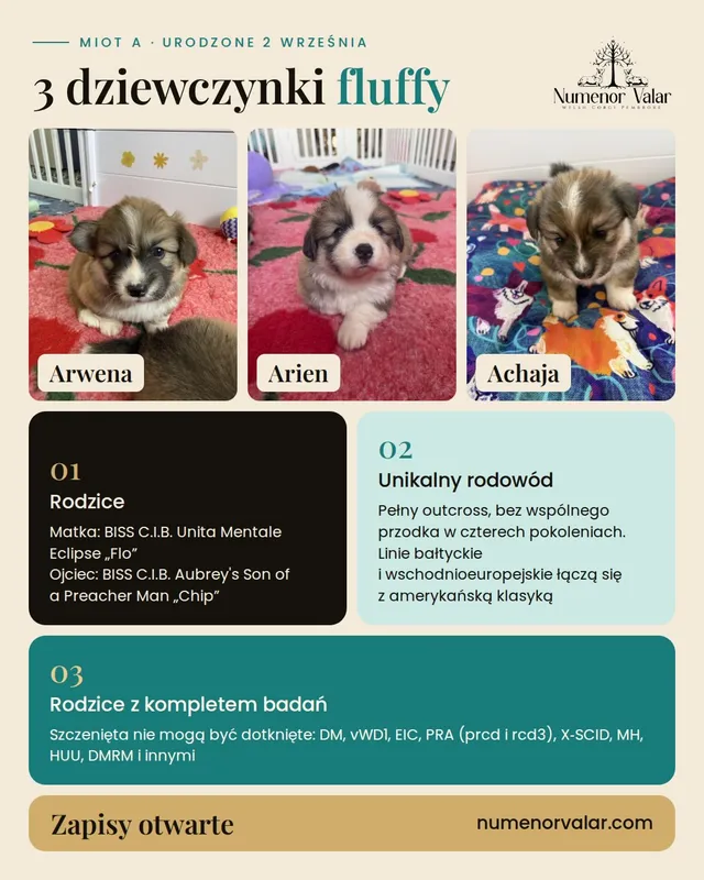 Zapraszamy ;)