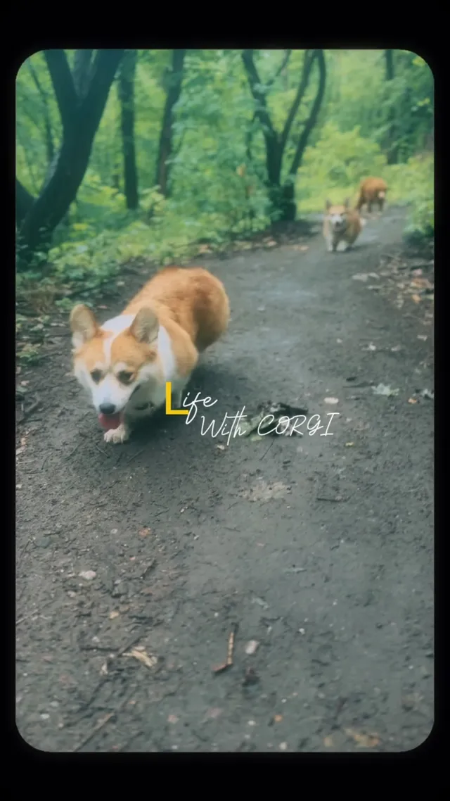 Zdjęcie z naszego Instagrama