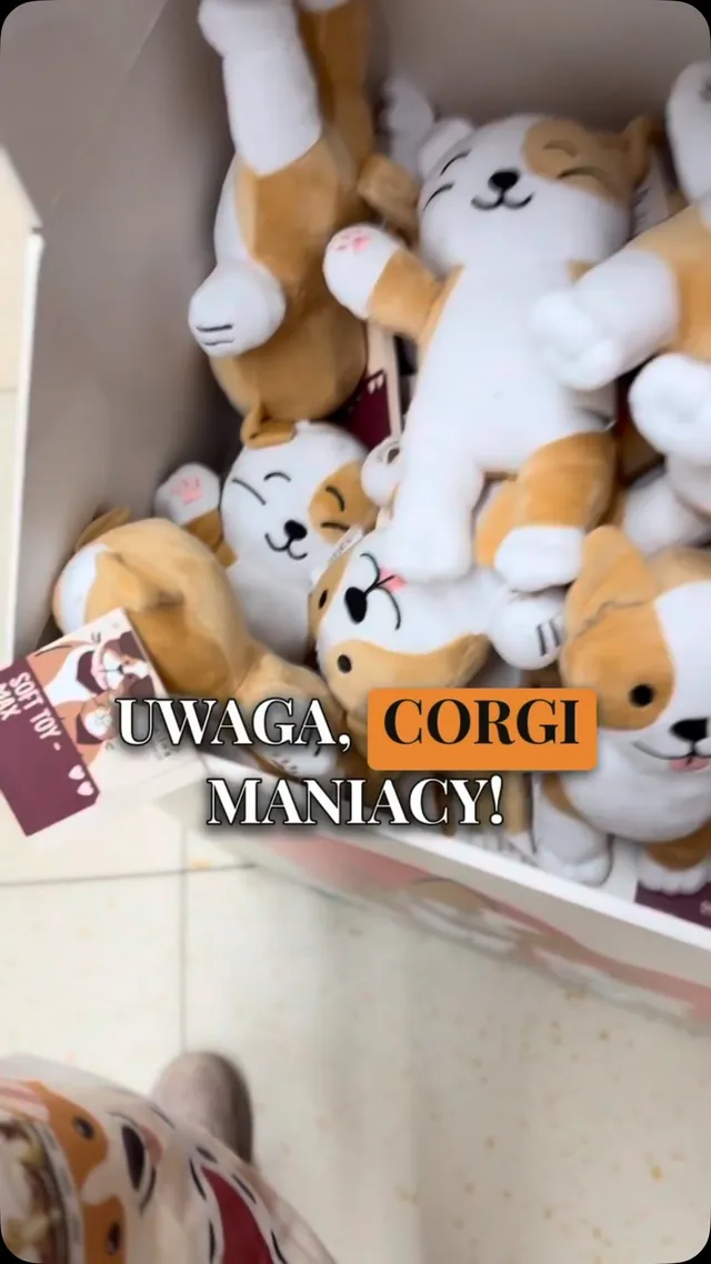 UWAGA, CORGI MANIACY! 🐾 W Lidlu są pluszaki corgi za 1 zł!