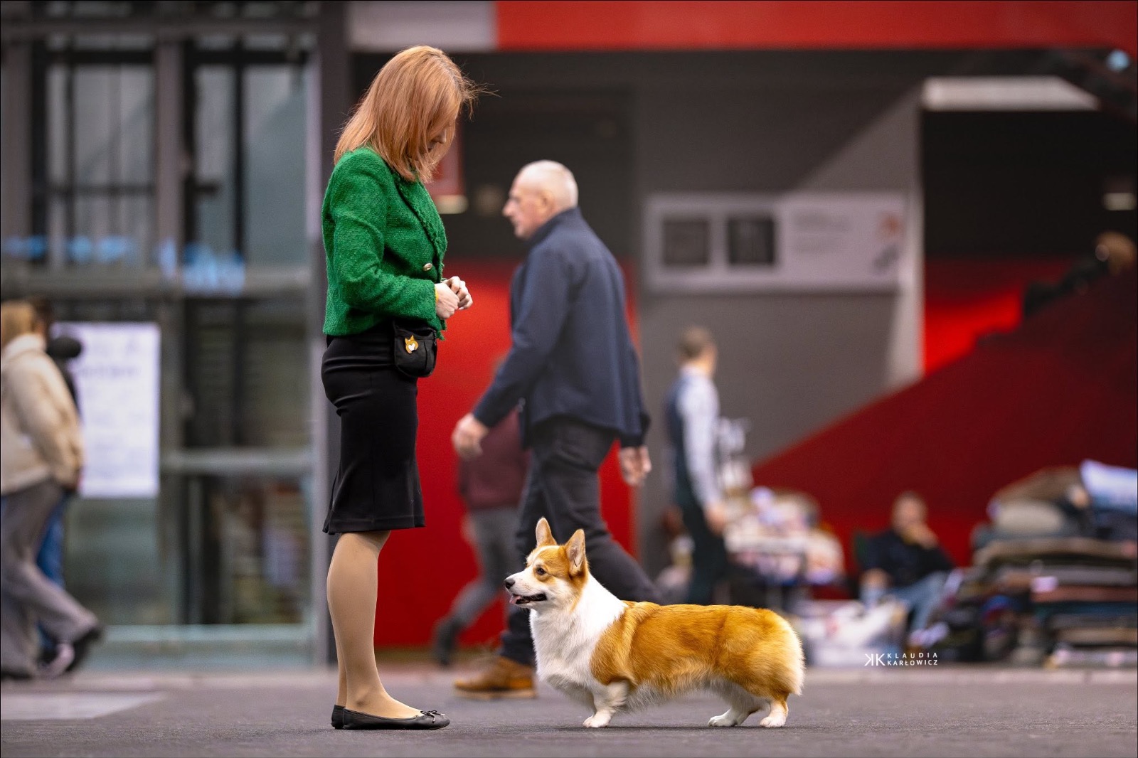 🏆 Weekend CACIB w Gdyni — 10–11.01.2026