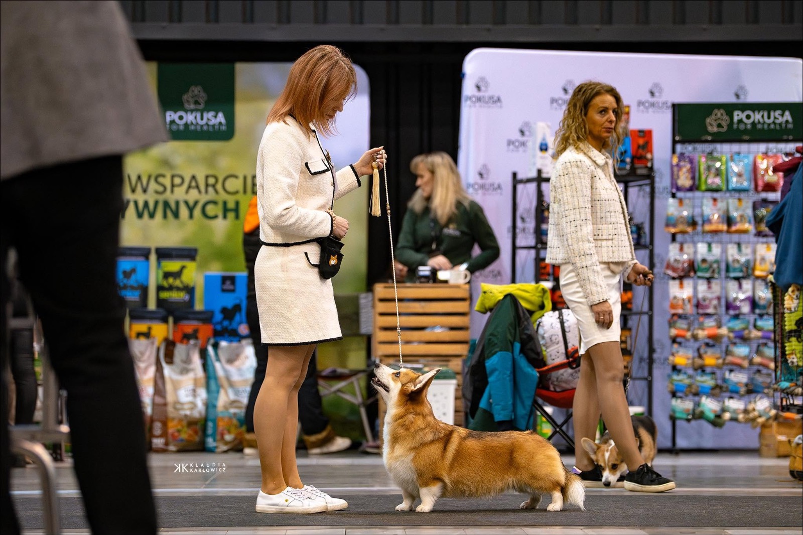 🏆 Weekend CACIB w Gdyni — 10–11.01.2026