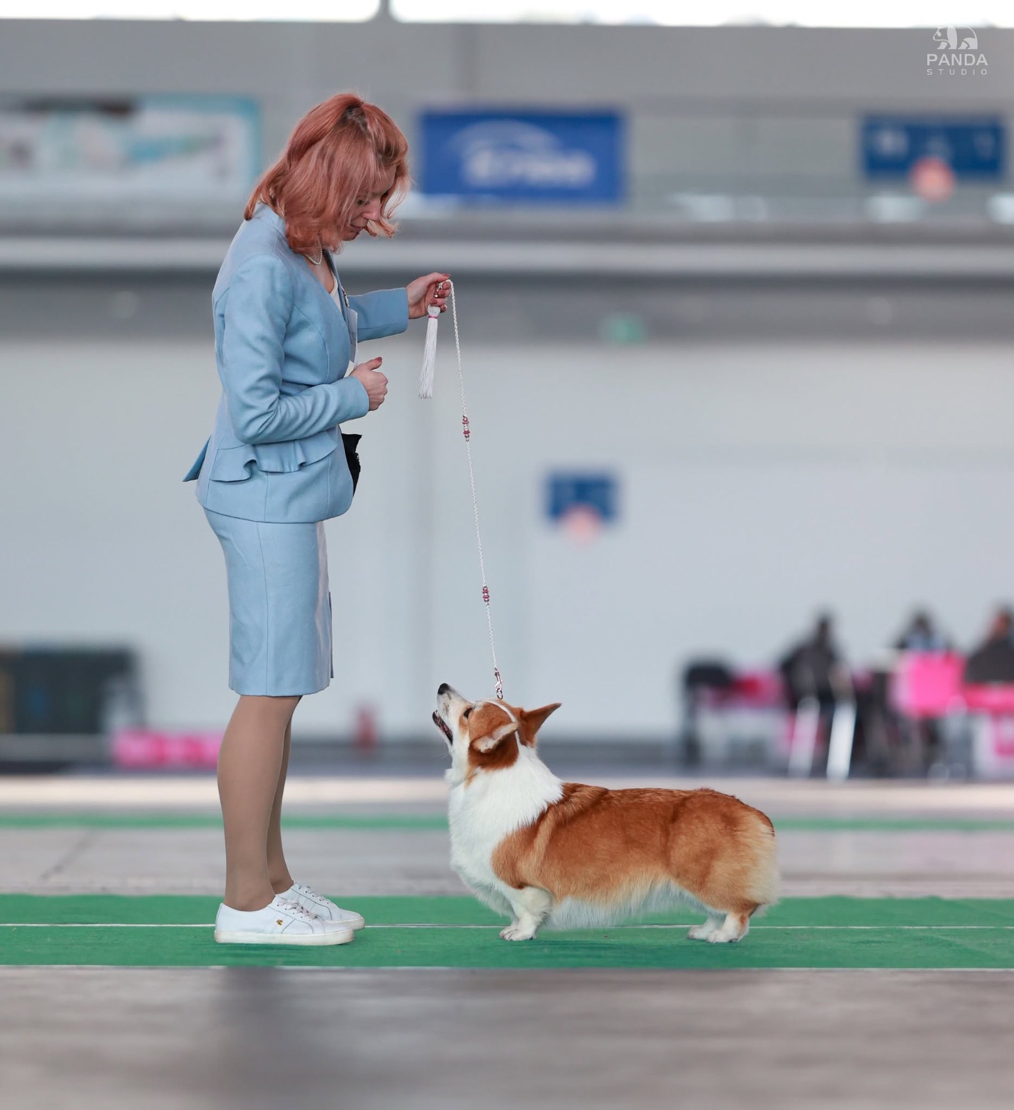 🏆 CACIB — Poznań