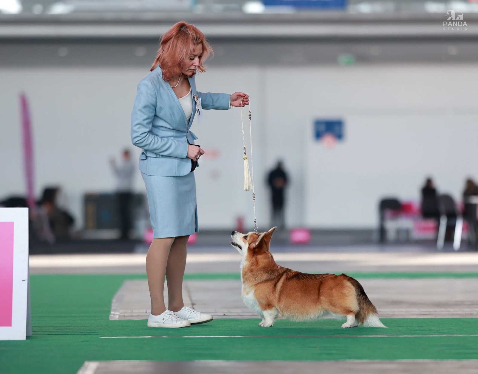 🏆 CACIB — Poznań
