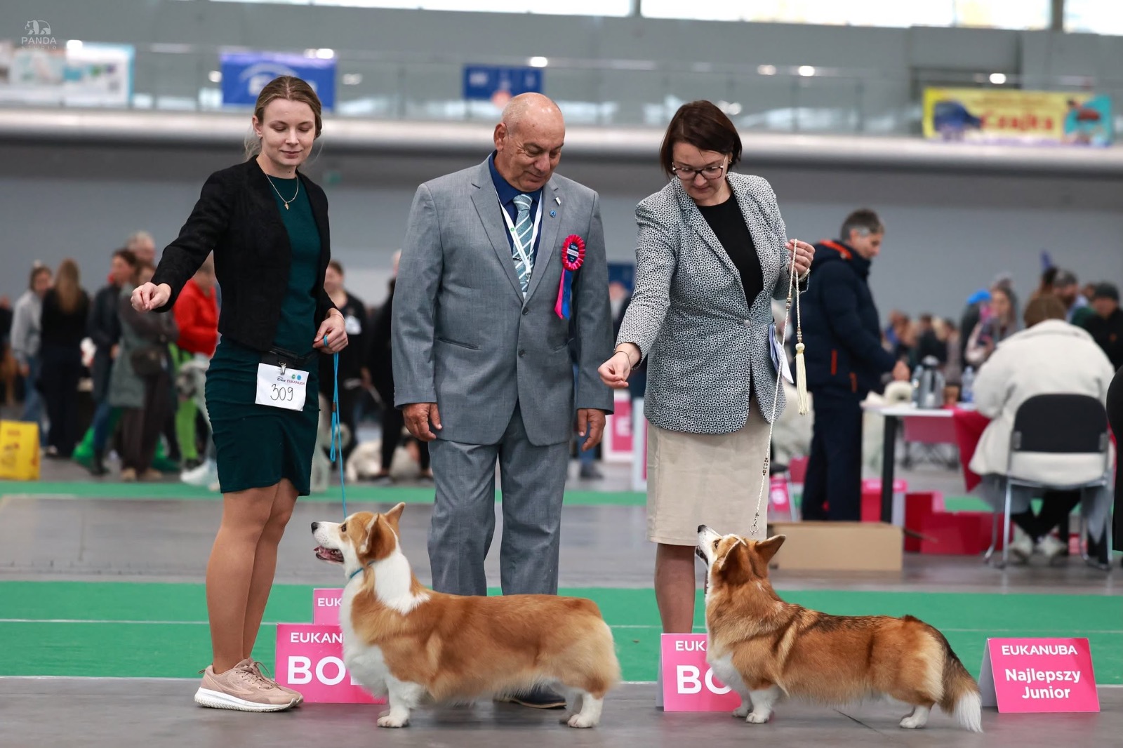🏆 CACIB — Poznań