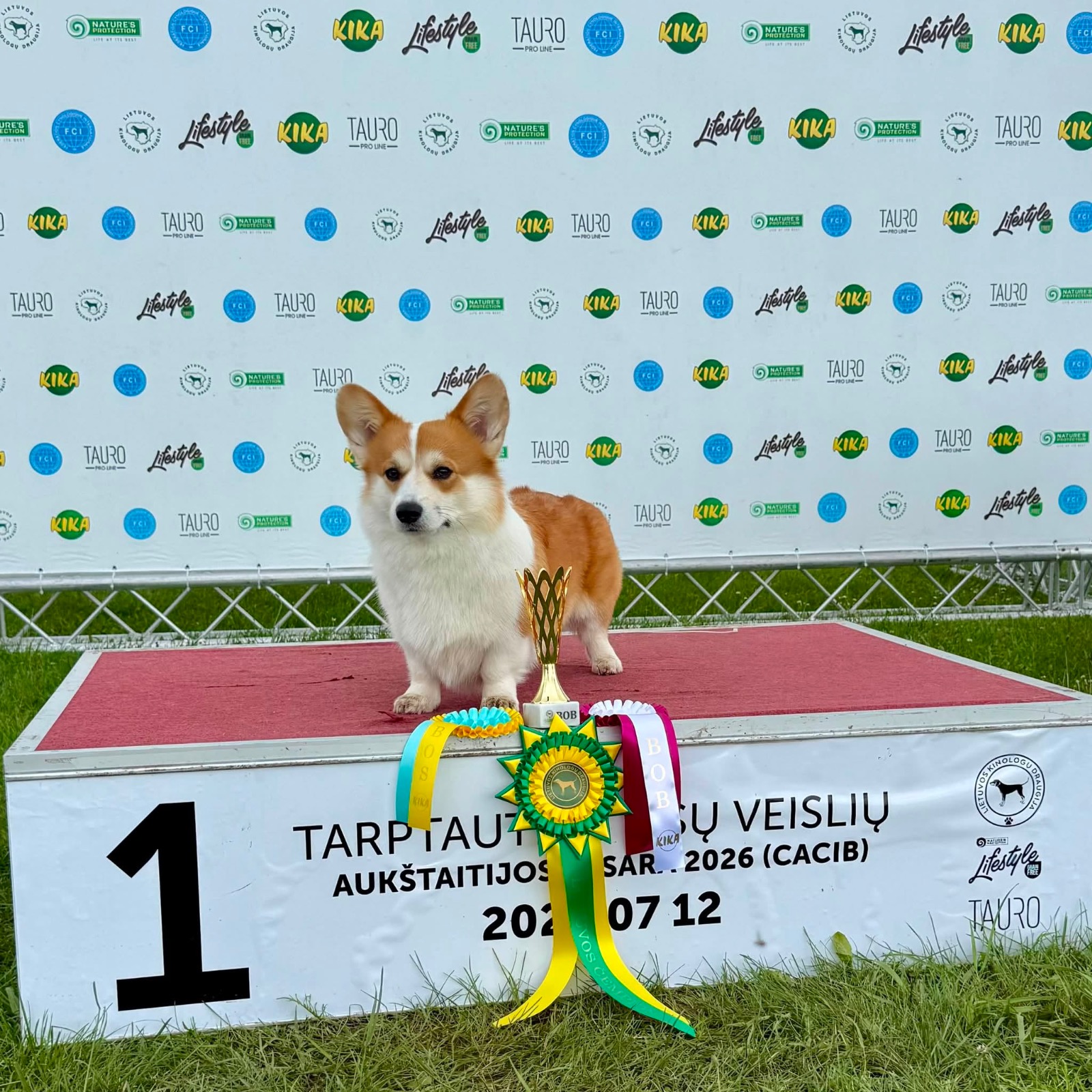 🇱🇹 3× CACIB Molėtai, Litwa 