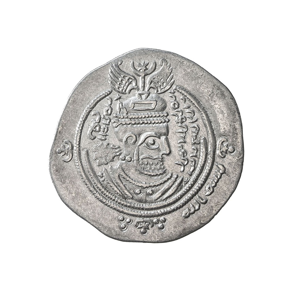 Dirham coin 22669