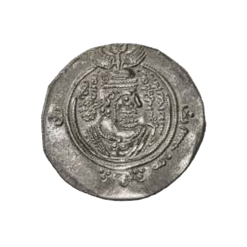 Dirham coin 8769
