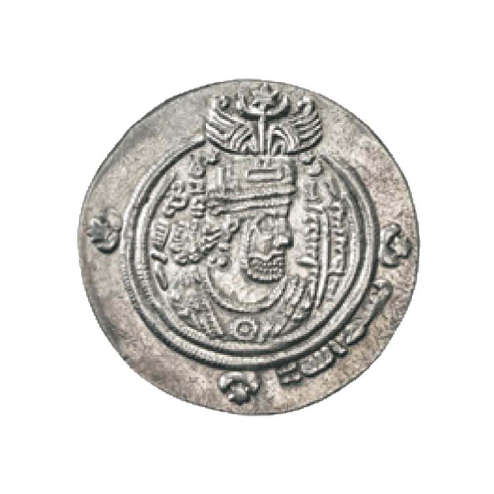 Dirham coin 13671