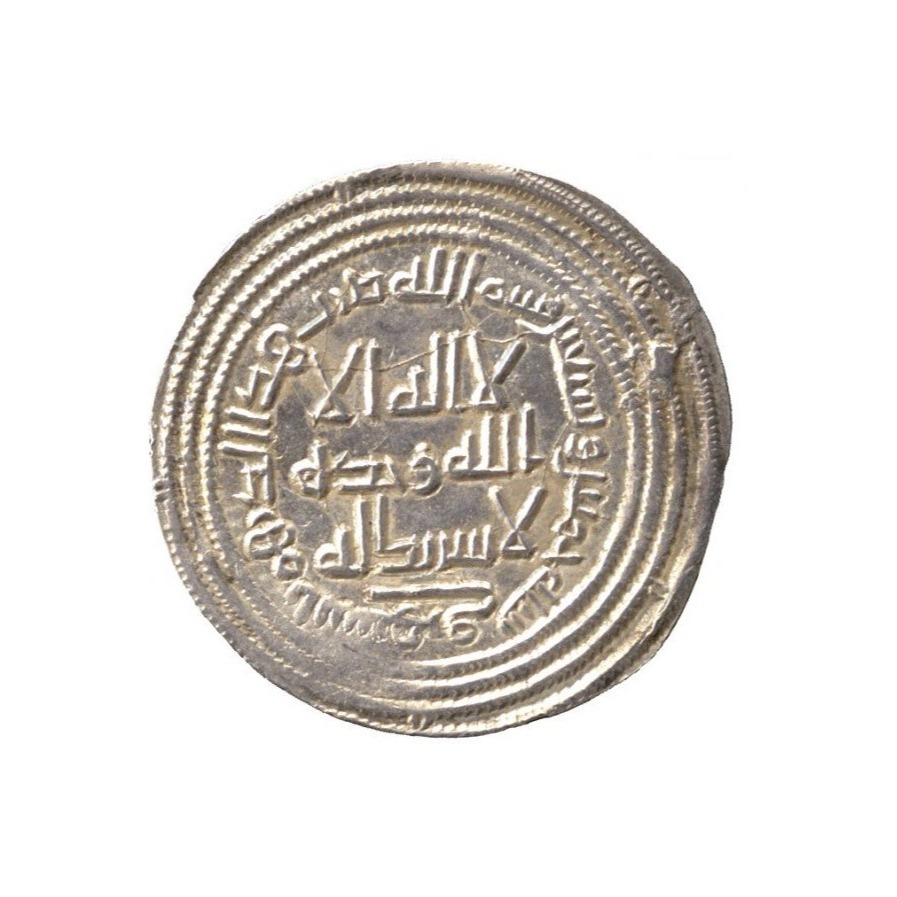 Dirham coin 18494