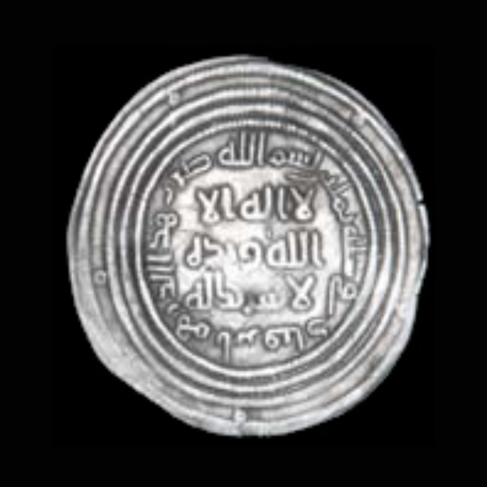 Dirham coin 10082