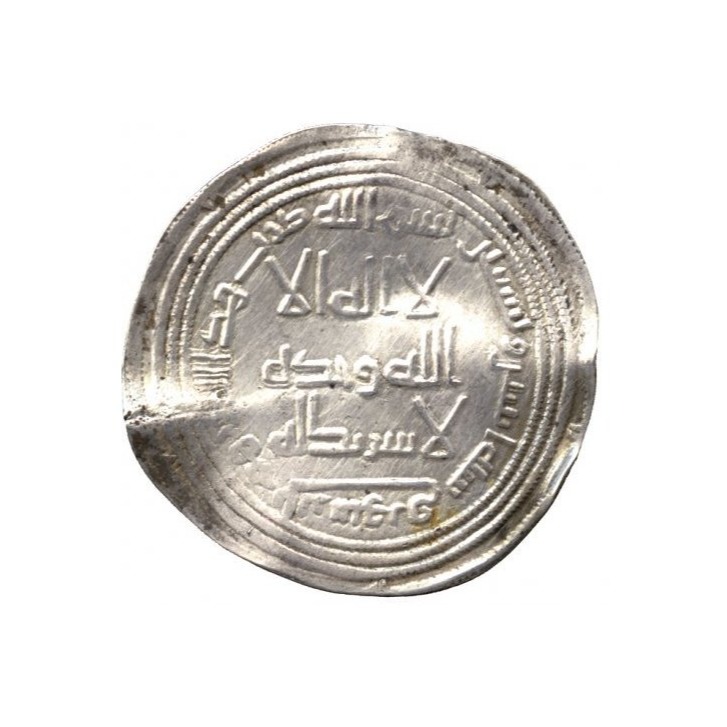 Dirham coin 15313