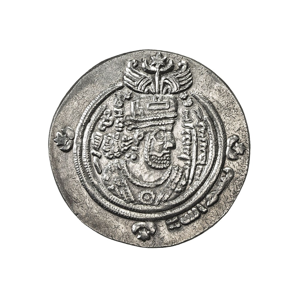 Dirham coin 13294