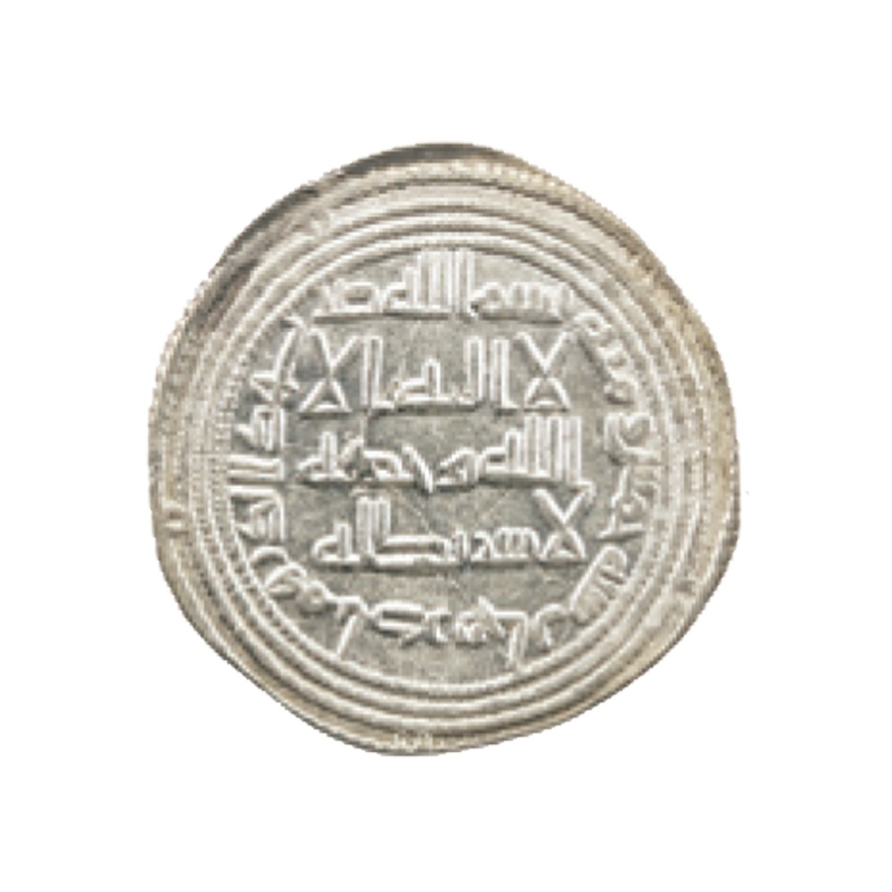 Dirham coin 19029