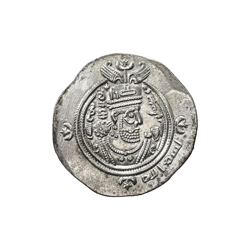 Dirham coin 3586