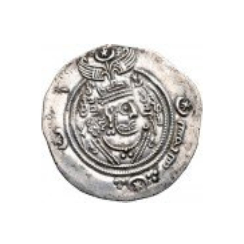 Dirham coin 13970