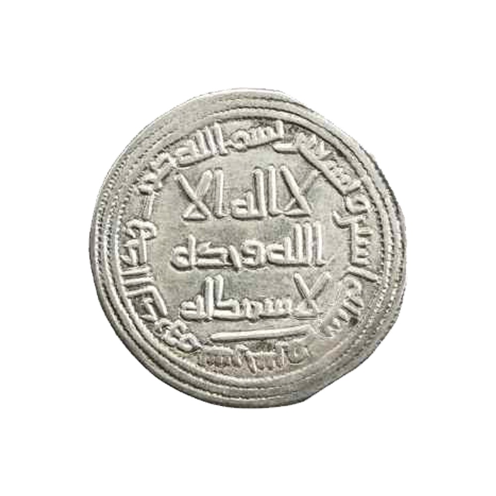 Dirham coin 13354