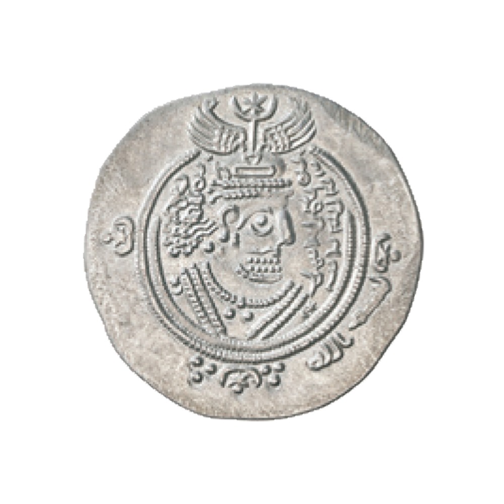 Dirham coin 11269