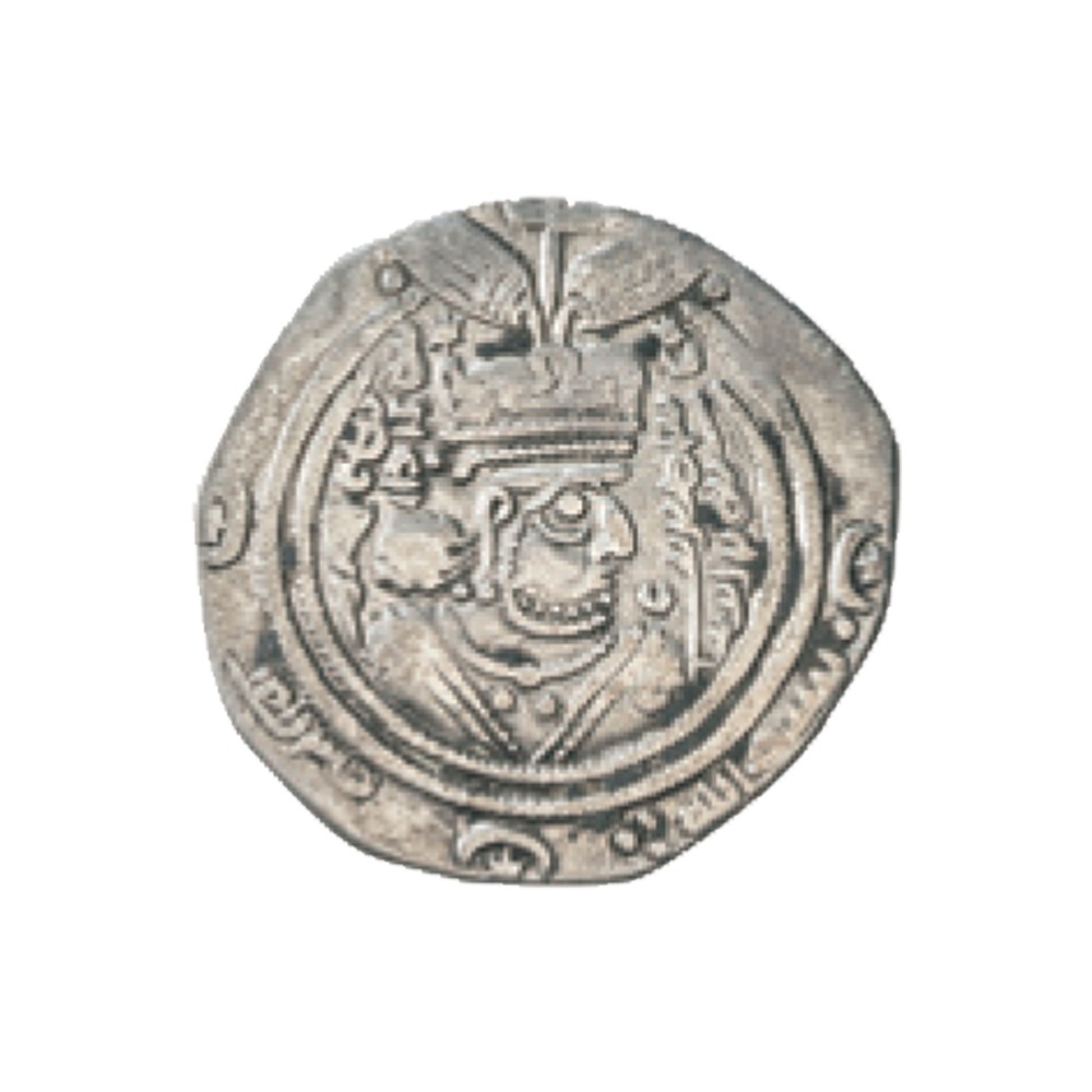 Dirham coin 8318
