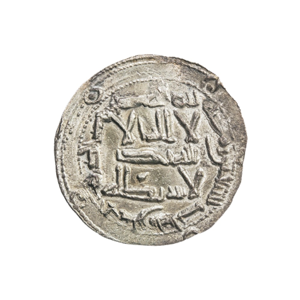 Dirham coin 10533