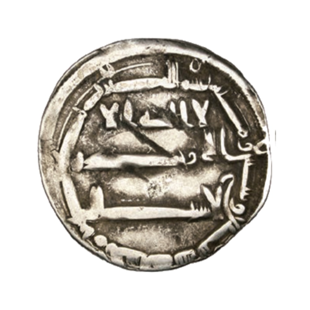 Dirham coin 8646