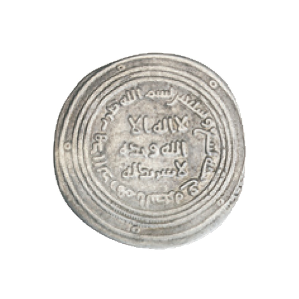 Dirham coin 11843