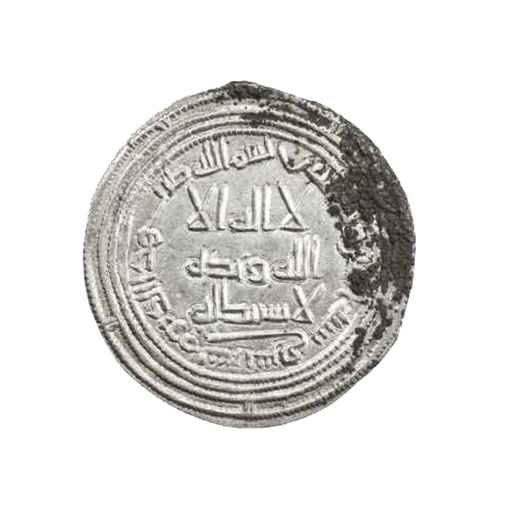 Dirham coin 8893