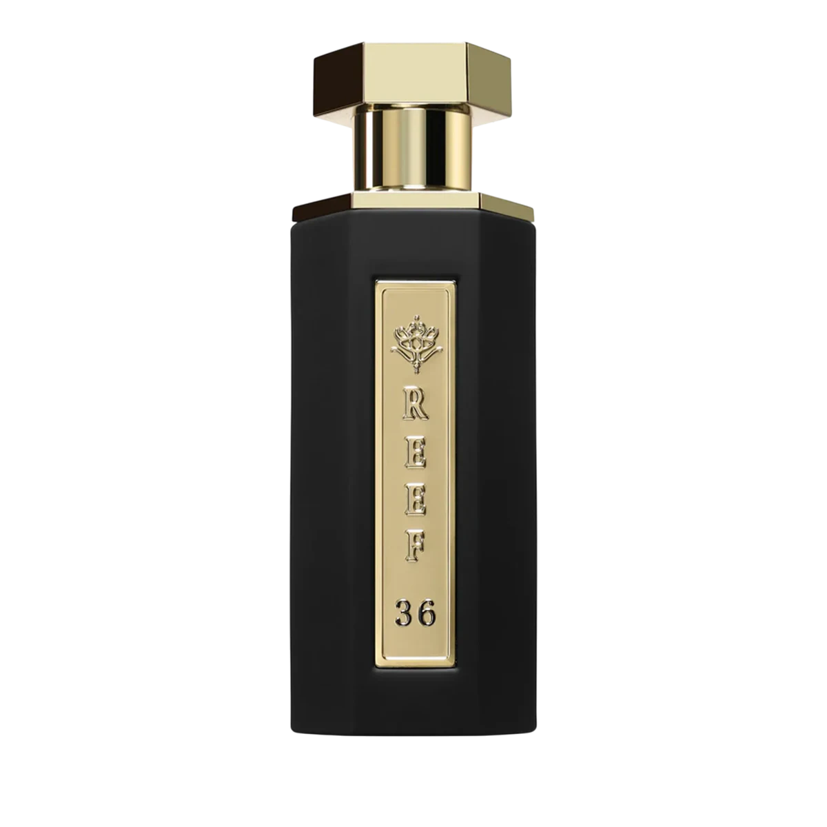Reef 36 - Frasco