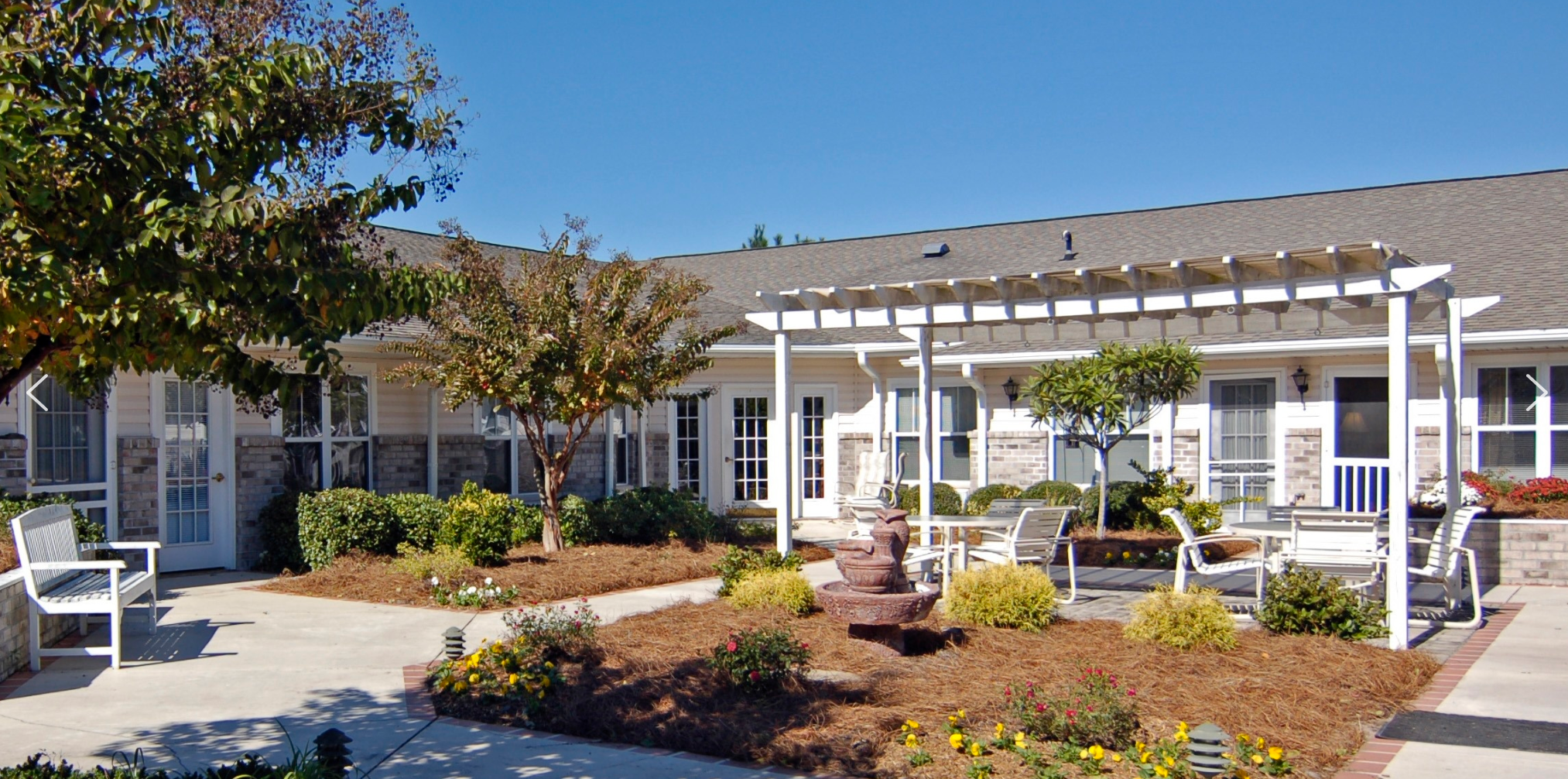 Myrtle Beach Grove
