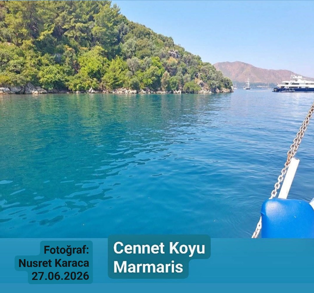 Fotoğraf