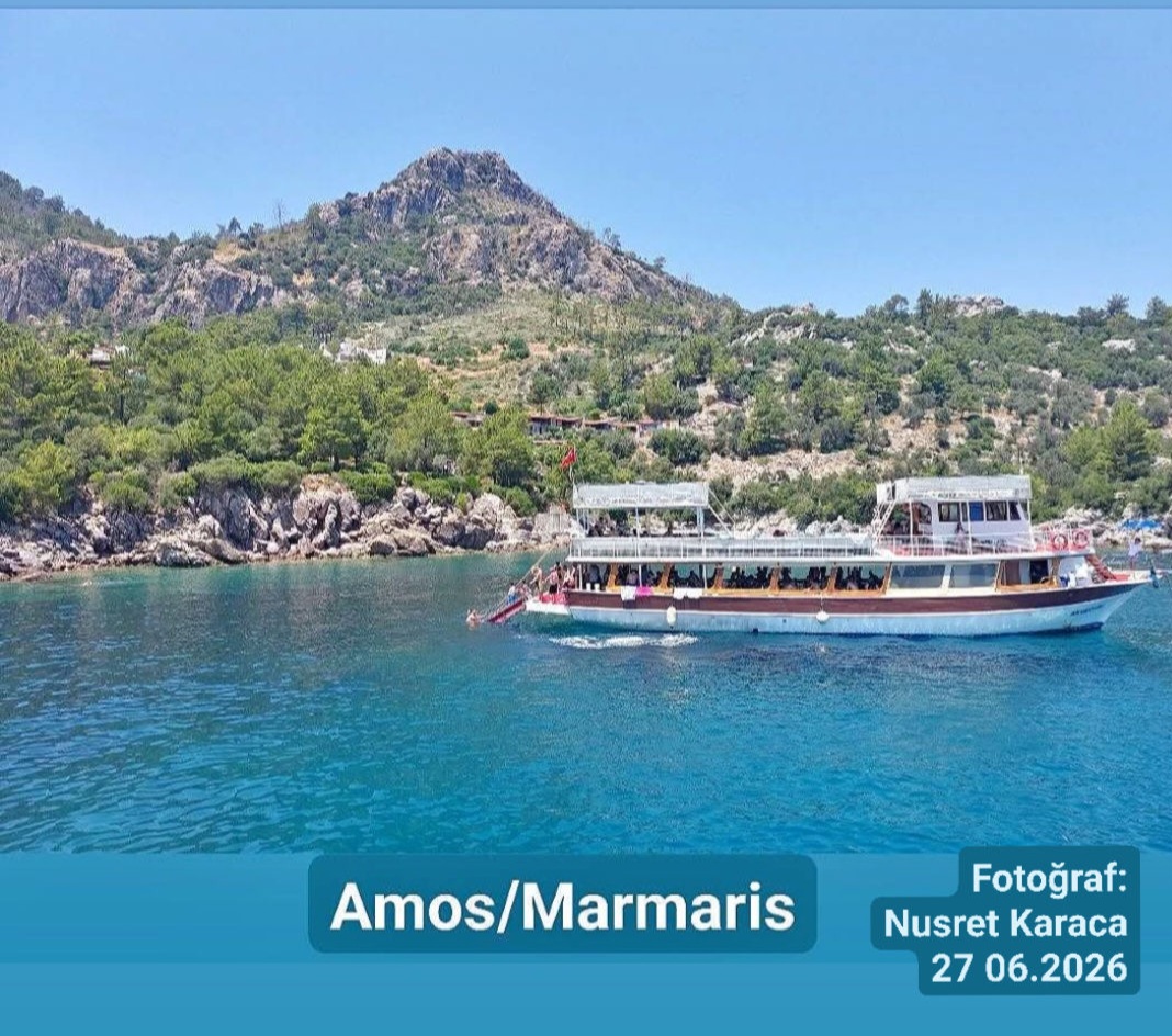 Fotoğraf
