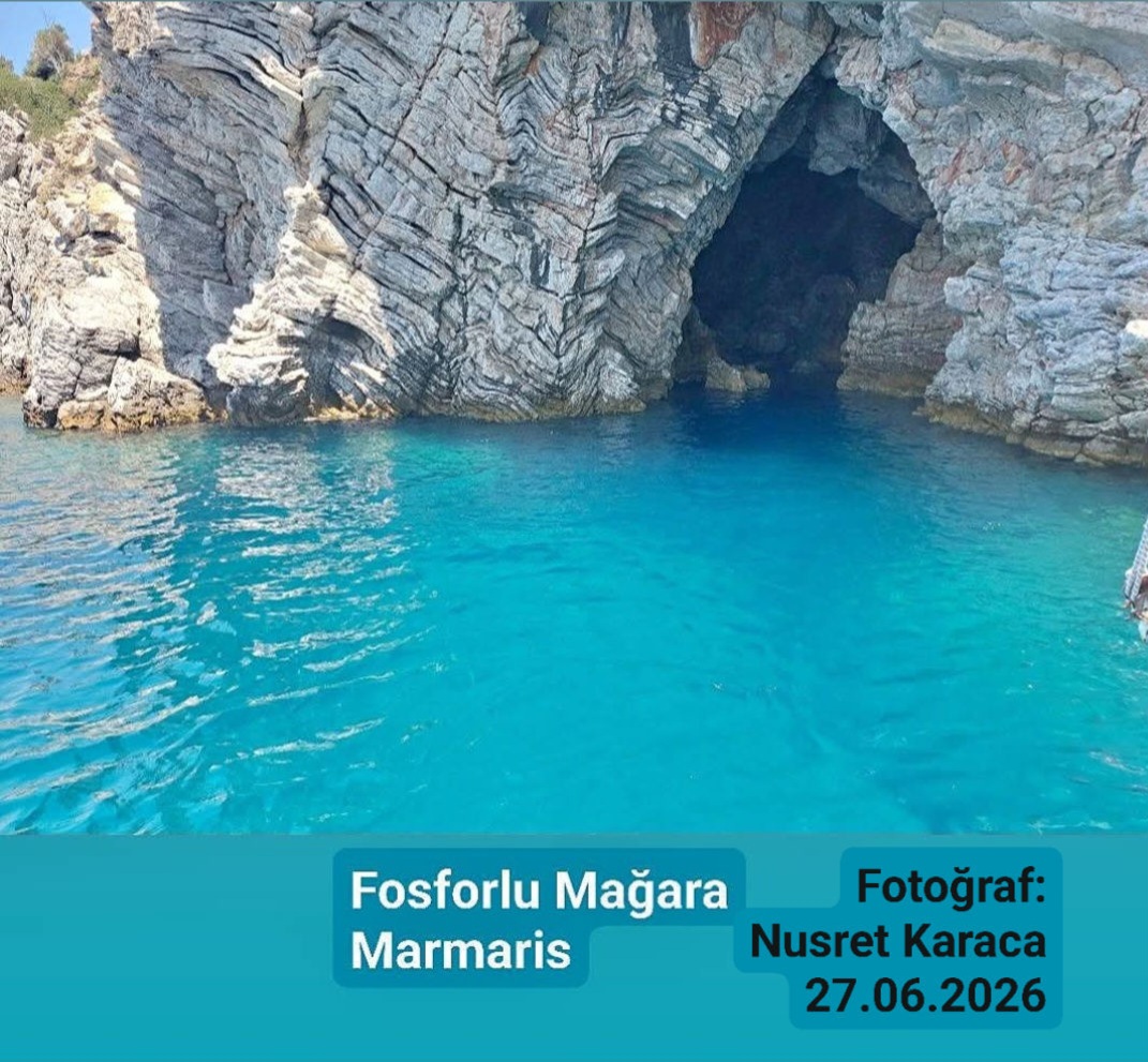 Fotoğraf