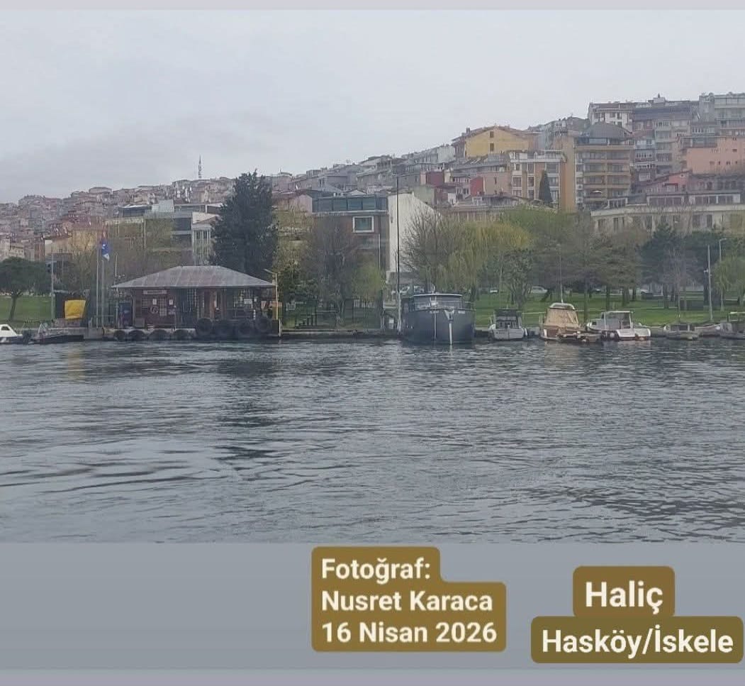 Fotoğraf