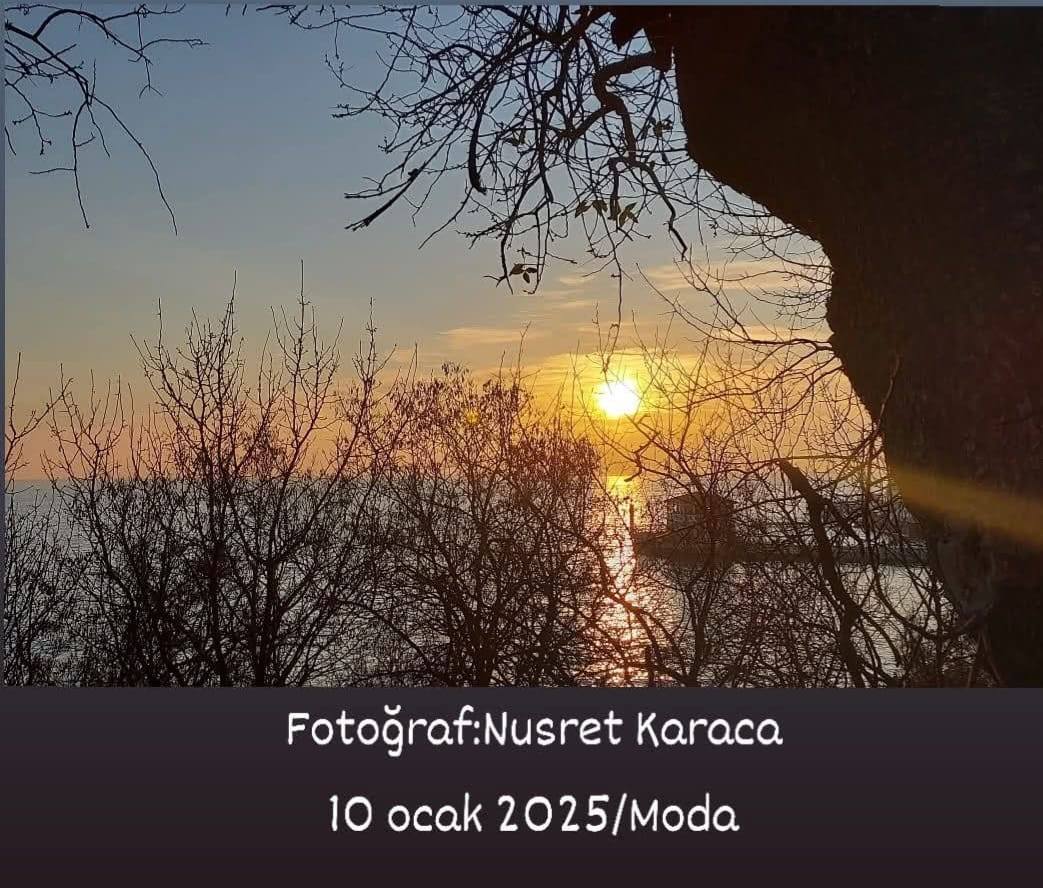 Fotoğraf