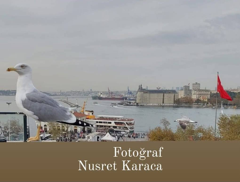 Fotoğraf