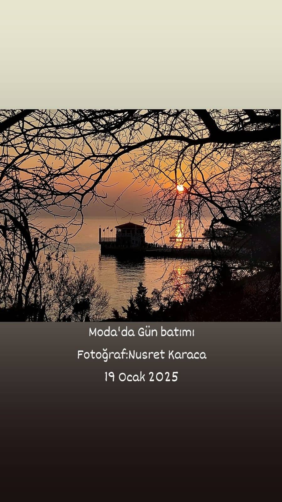 Fotoğraf