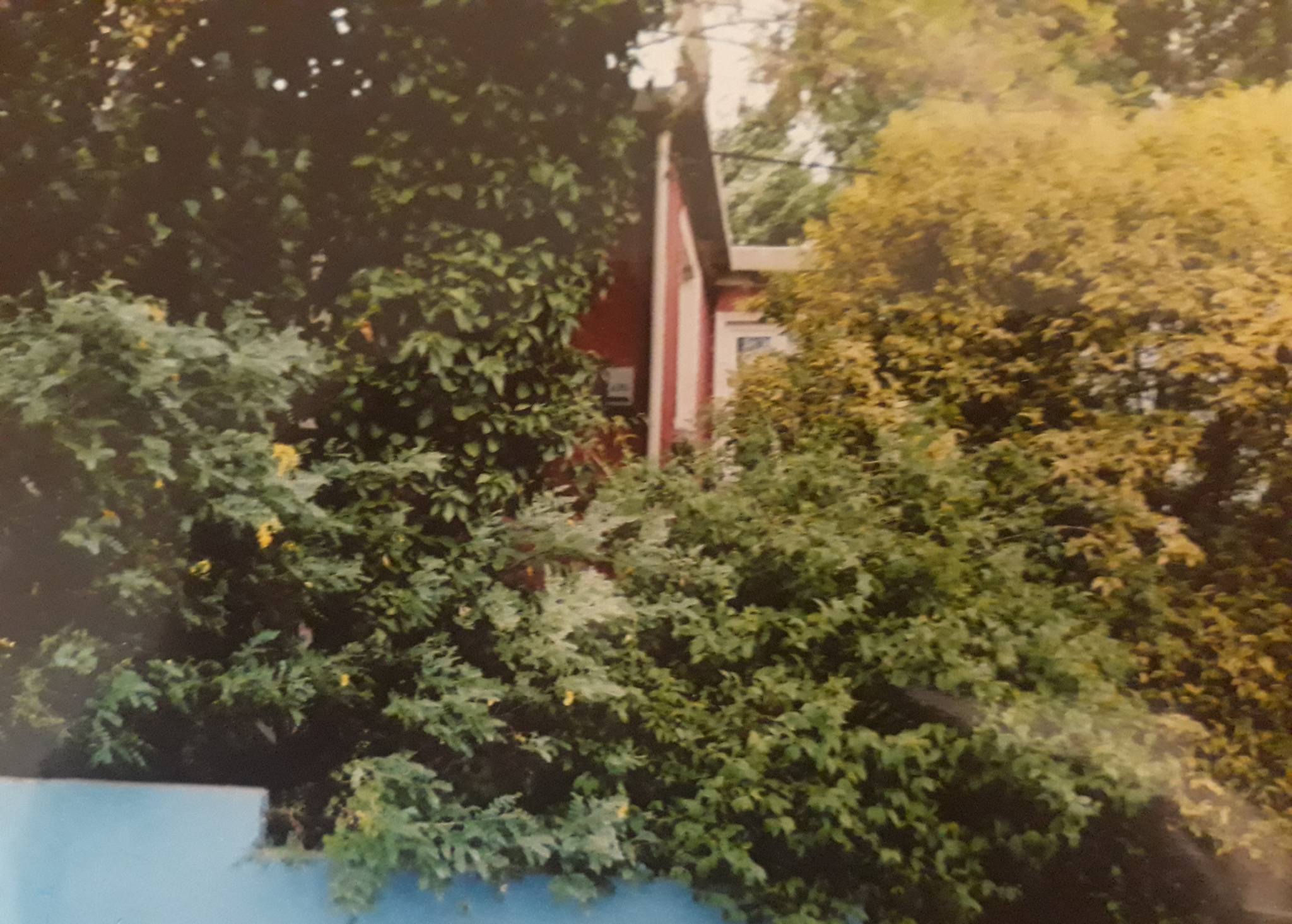 Fotoğraf