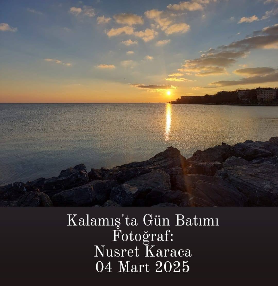 Fotoğraf