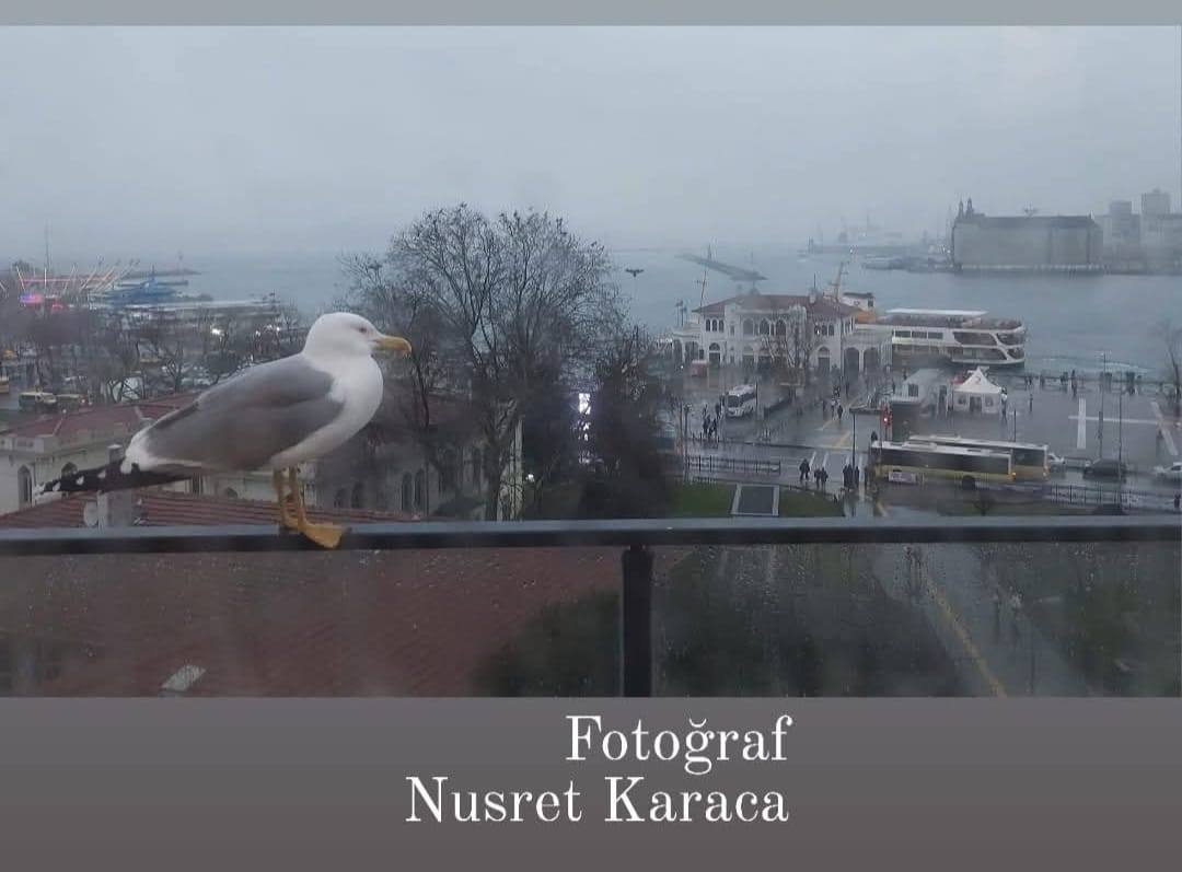 Fotoğraf